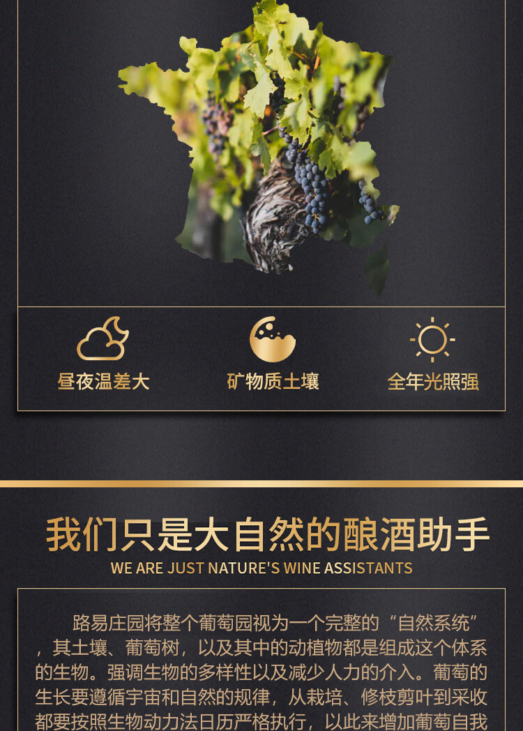 路易城堡（CHATEAU LOUIS）2017年 路易庄园古堡干红葡萄酒 法国波尔多圣埃美隆原瓶原装进口 单支装红酒