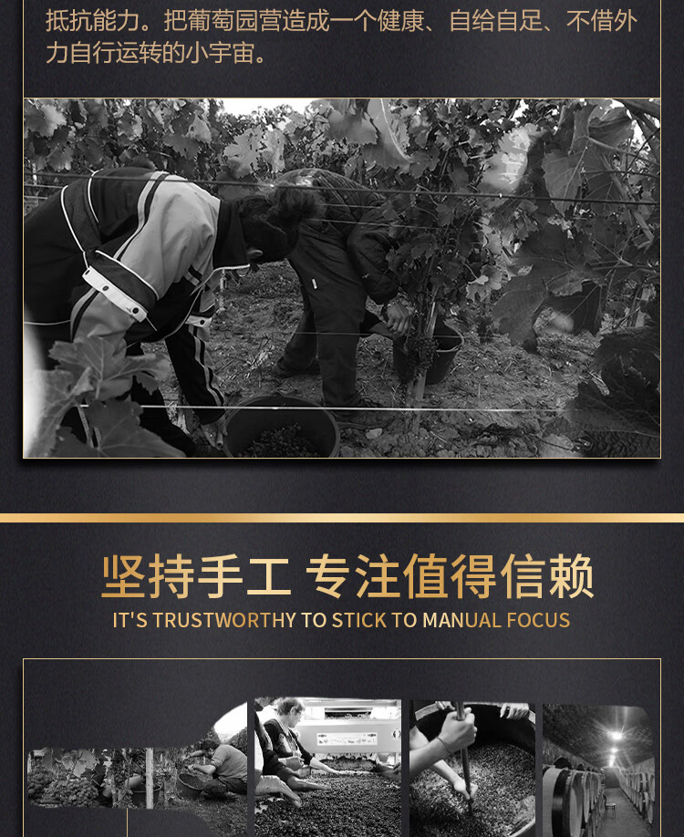 路易城堡（CHATEAU LOUIS）2017年 路易庄园古堡干红葡萄酒 法国波尔多圣埃美隆原瓶原装进口 单支装红酒