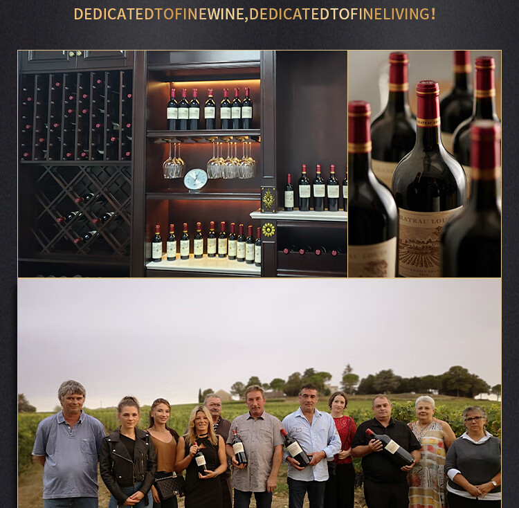 路易城堡（CHATEAU LOUIS）2017年 路易庄园古堡干红葡萄酒 法国波尔多圣埃美隆原瓶原装进口 单支装红酒