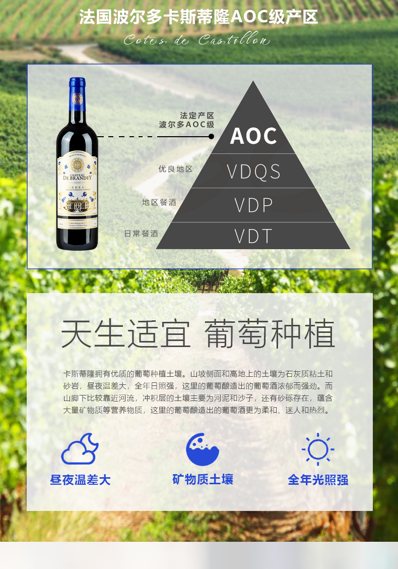 宝兰迪庄园2024干红葡萄酒