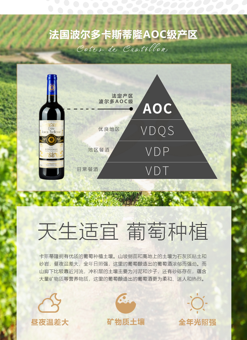 布兰迪庄园2023干红葡萄酒