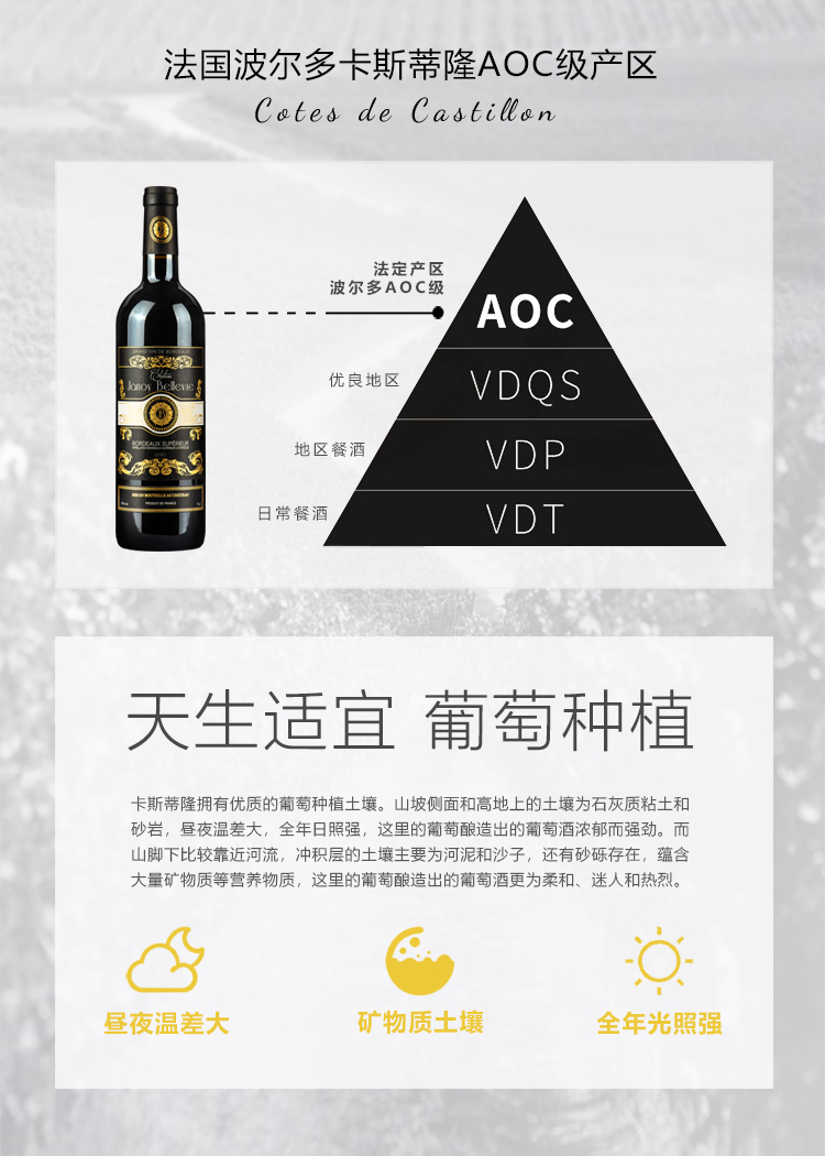 布兰迪庄园2023超波干红葡萄酒