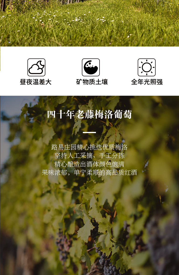 路易庄园2022芳堡干红葡萄酒