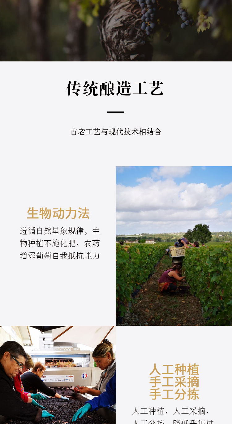 路易庄园2022芳堡干红葡萄酒