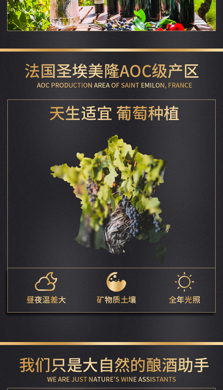 路易庄园2022古堡干红葡萄酒