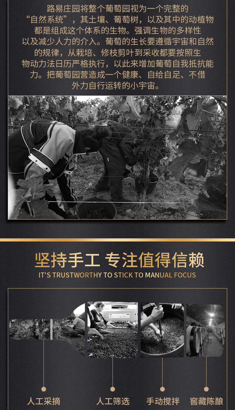 路易庄园2022古堡干红葡萄酒