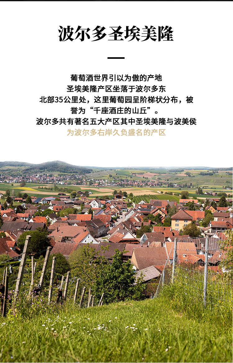 路易庄园2022珍藏干红葡萄酒