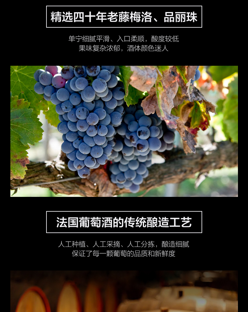 香农庄园2022古堡干红葡萄酒