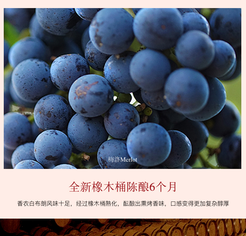 香农庄园2022白布朗干红葡萄酒