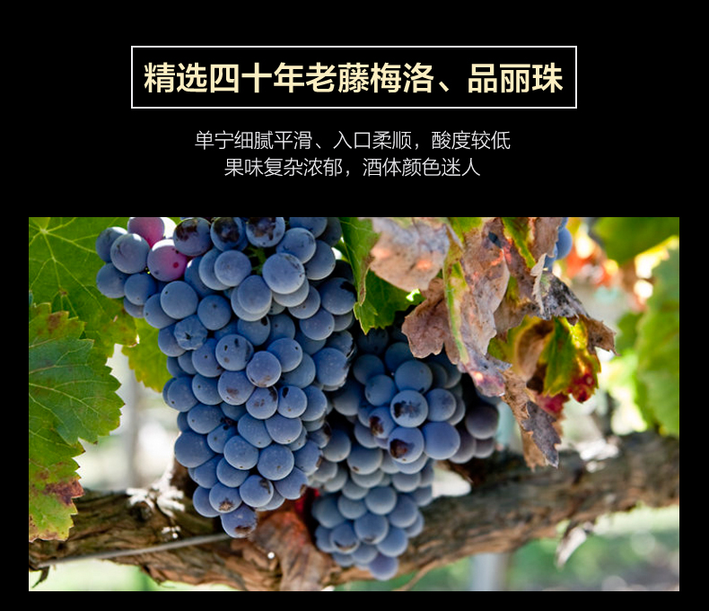 香农庄园2023黑布朗干红葡萄酒