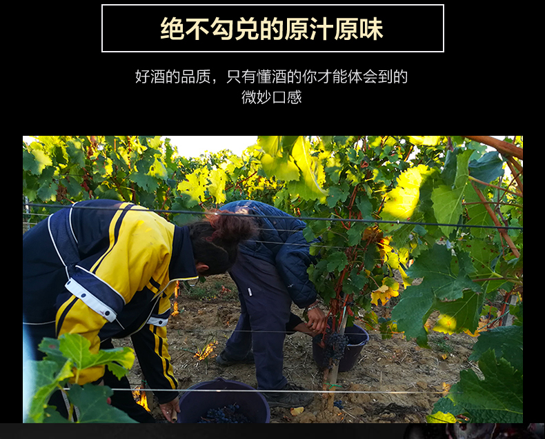 香农庄园2023黑布朗干红葡萄酒
