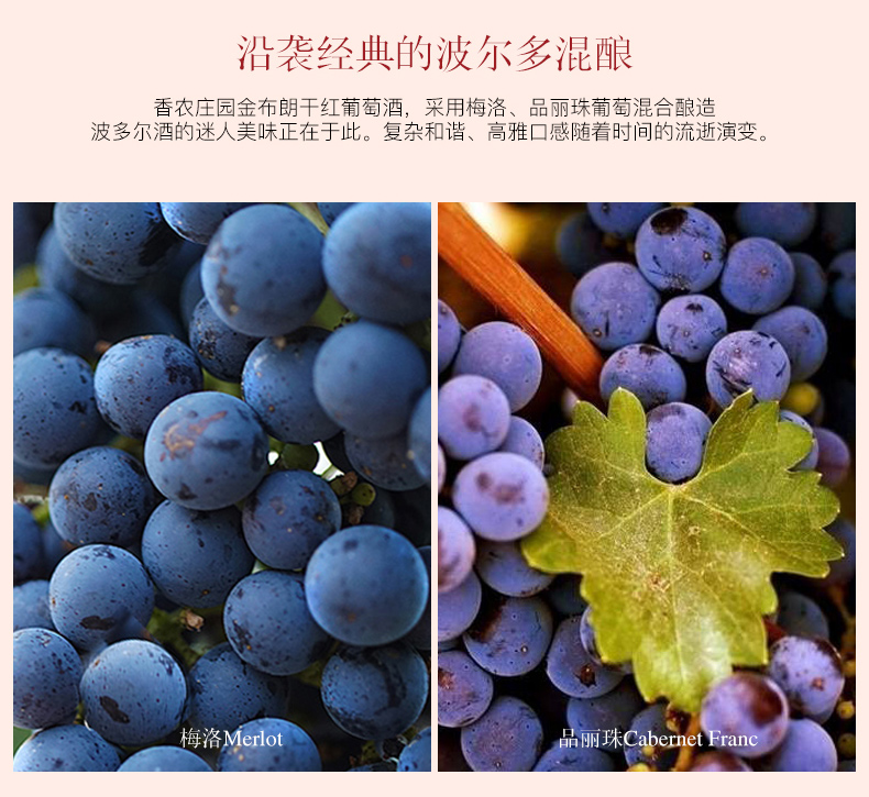 香农庄园2022金布朗干红葡萄酒