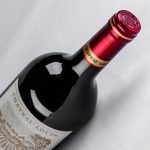 路易庄园2022古堡干红葡萄酒