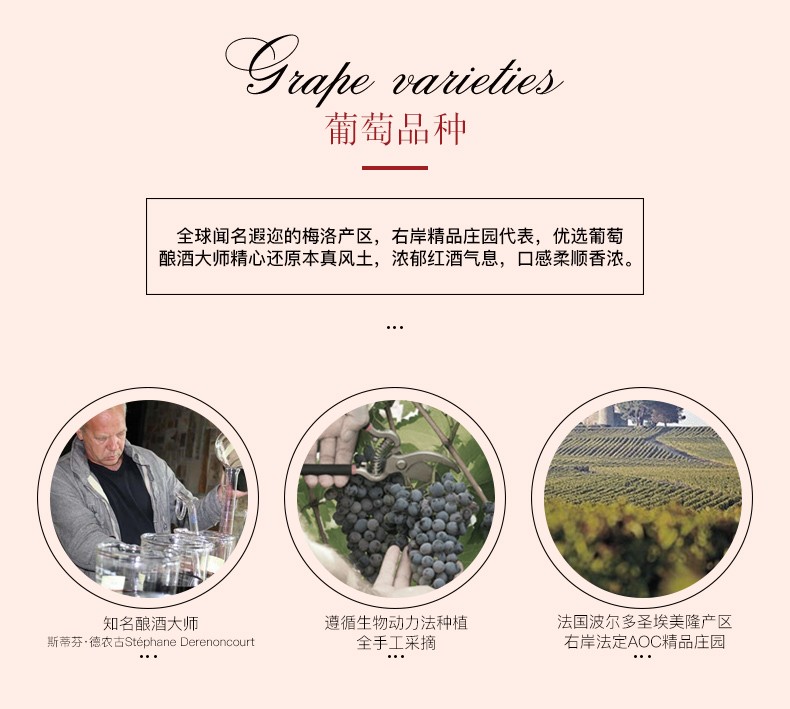 香农庄园2022金布朗干红葡萄酒